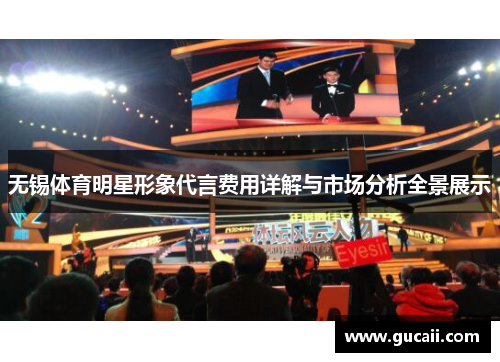 无锡体育明星形象代言费用详解与市场分析全景展示
